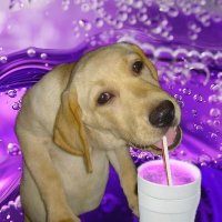 Soda